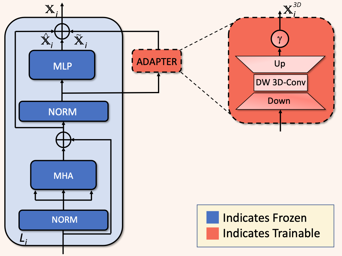 CEFHRI overview